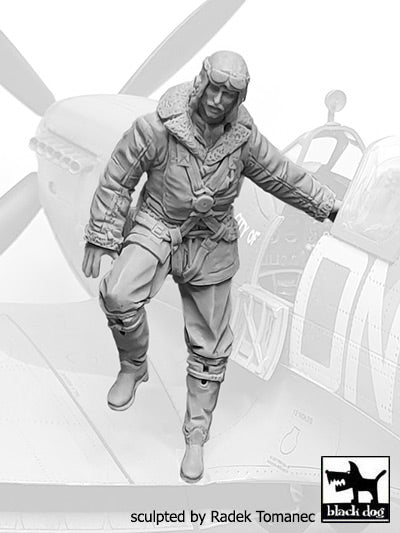 Blackdog F32078 1:32 RAF fighter pilot 1940-45 No8 stepping down the wing
