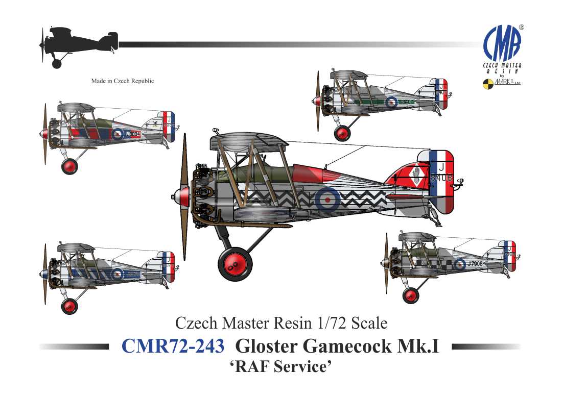 Czech Master Resin CMR72-243 1:72 Gloster Gamecock Mk.I 'RAF Service'