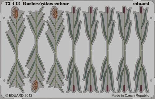 Eduard 73443 1:72 Bull rushes x 2 types. In Colour!