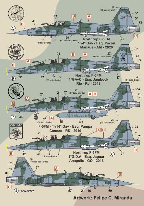 FCM decals 48074 1:48 Northrop F-5EM / F-5FM - Brazilian Air Force