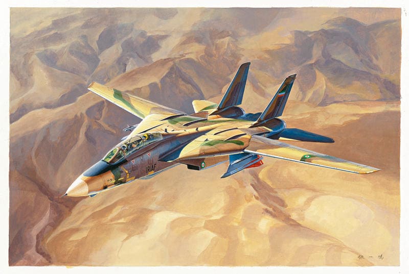 Hobby Boss 81771 1:48 Grumman F-14A Tomcat Tomcat IRIAF (Iranian AF)