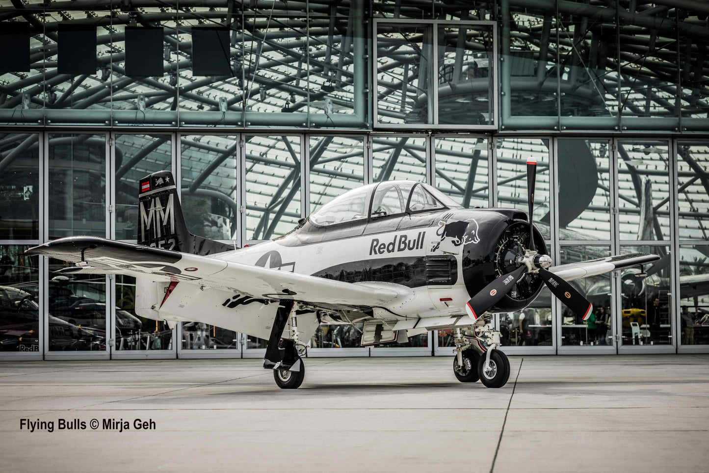 Revell 05635 1:48 Flying Bulls 25th Anniversary North-American T-28B Trojan