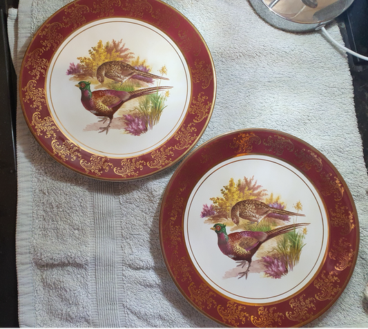 Set of 2 - 23cm Falcon Ware Plates - Pheasants