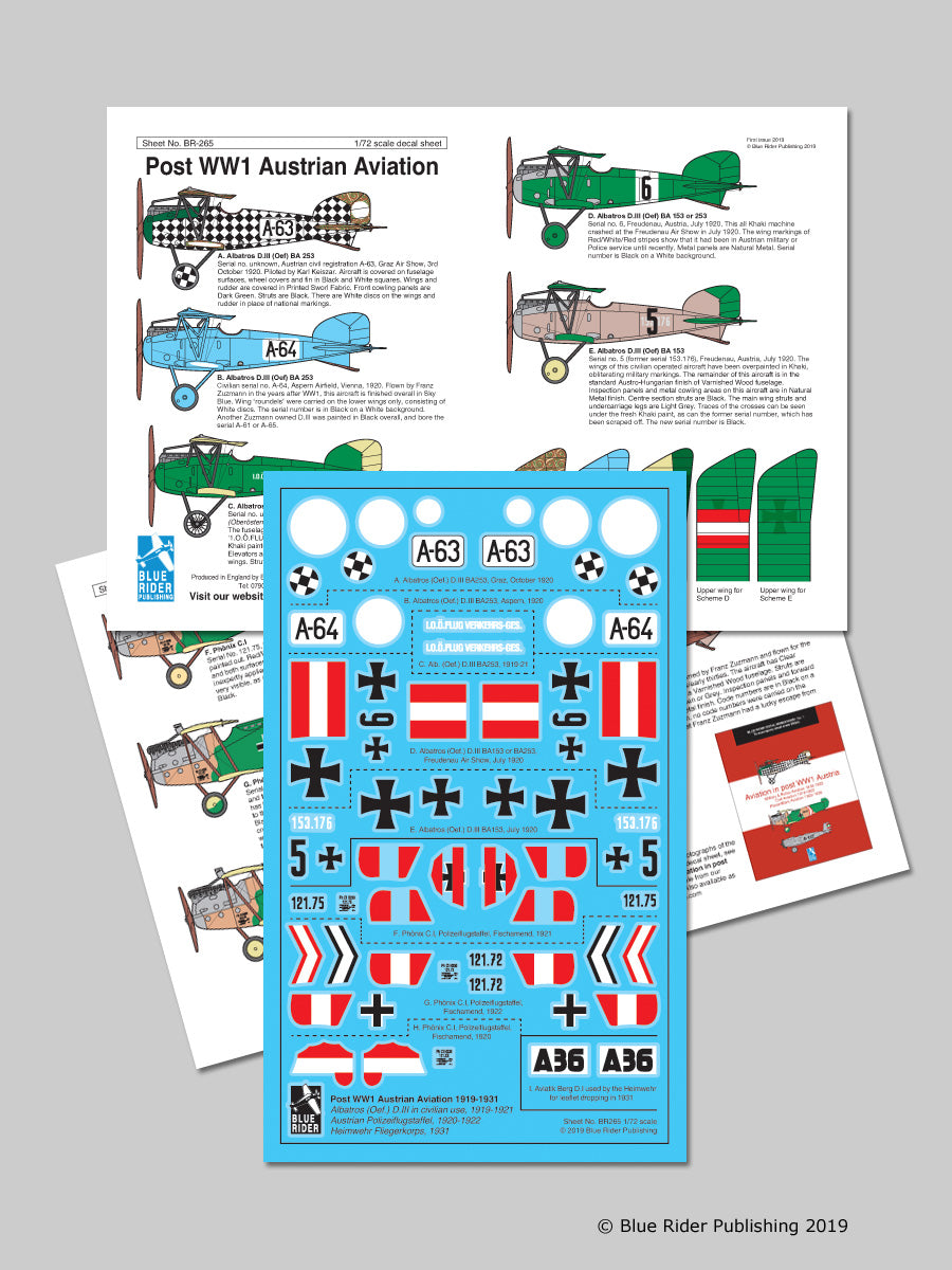 Blue Rider BR-265 1:72 post WWI Austrian aviation