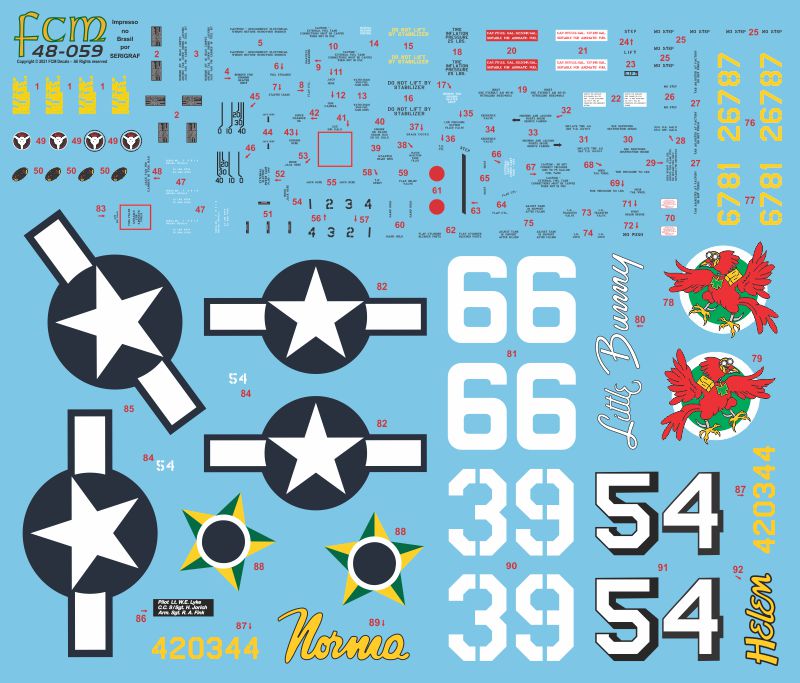 FCM 48059 1:48 Republic P-47D Thunderbolt - os desviados da FEB na ItÃÂ¡lia