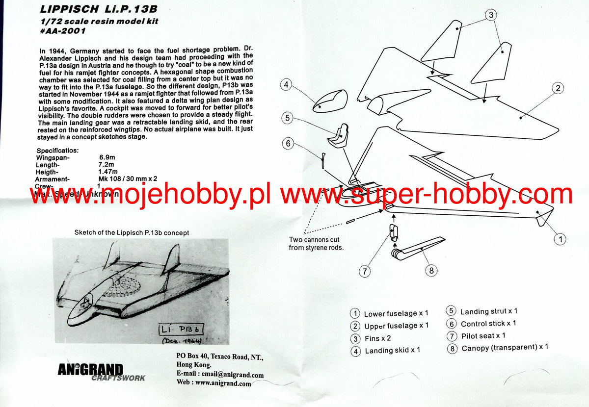 Anigrand Craftswork 2001 1:72 Lippisch Li.P.13B Luft '46 Ramjet concept.