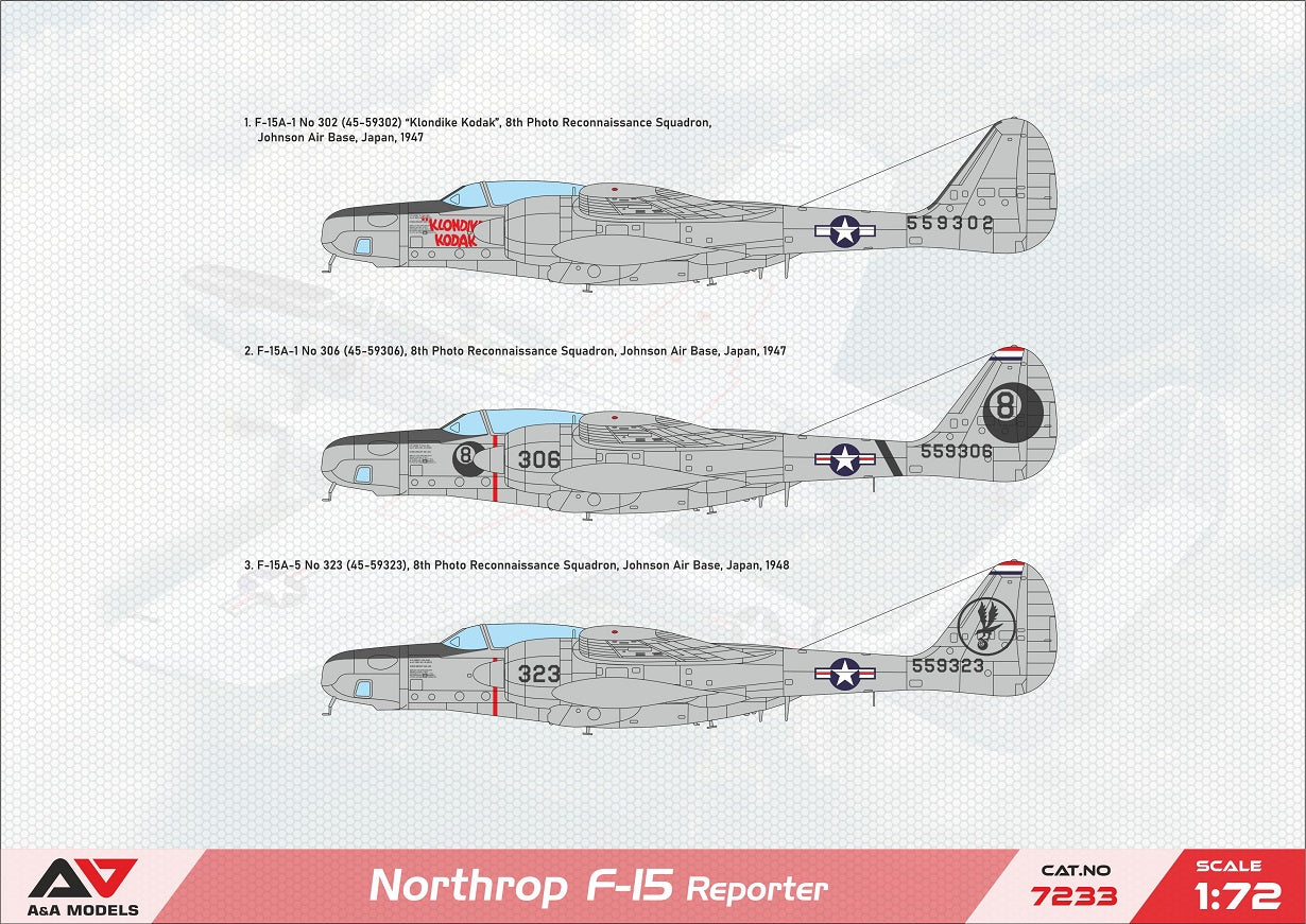 A & A Models 7233 1:72 Northrop F-15 Reporter