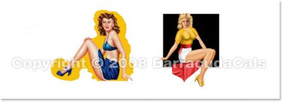 Barracuda Studios BC32001 1:32 P-47 Thunderbolts Part 2 Decals