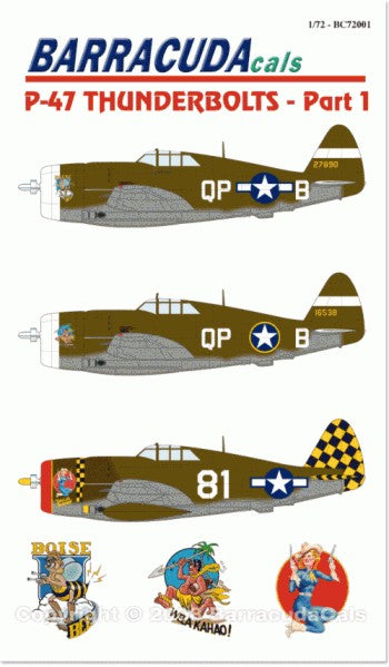 Barracuda Studios BC72001 1:72 Republic P-47 Thunderbolt Part 1