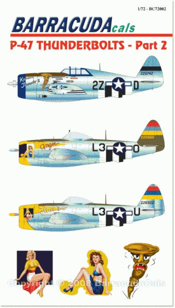 Barracuda Studios BC72002 1:72 Republic P-47 Thunderbolt Part 2