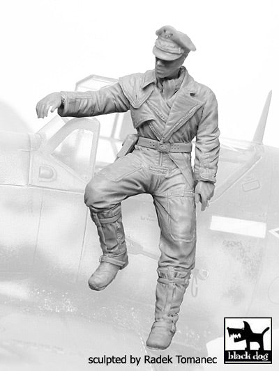 Blackdog F32066 1:32 German Luftwaffe pilot N°6