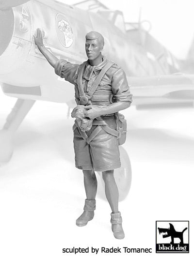 Blackdog F32071 1:32 Luftwaffe pilot Africa N°3
