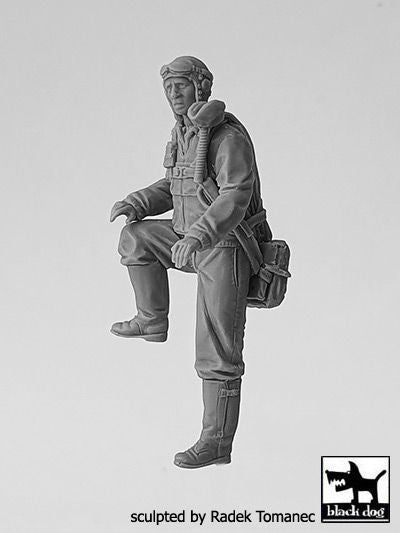 Blackdog F32135 1:32 USAAF Fighter pilot 1940-45 NÂ°1	figures