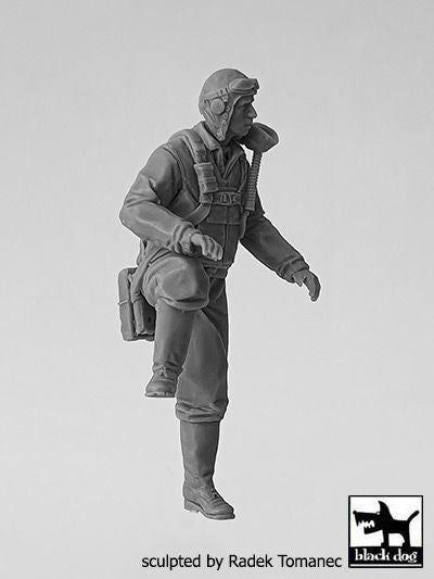 Blackdog F32135 1:32 USAAF Fighter pilot 1940-45 NÂ°1	figures