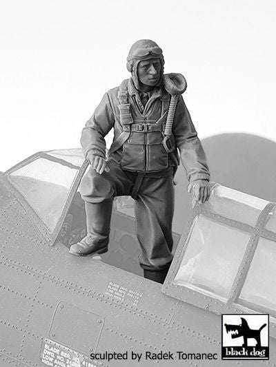 Blackdog F32135 1:32 USAAF Fighter pilot 1940-45 NÂ°1	figures