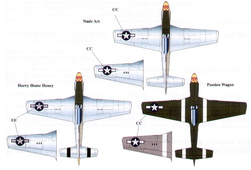 Eagle Cal 48103 1:48 North-American P-51D Mustang 357th FG Part 3