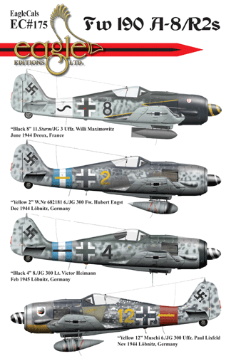 Eagle Cal 48175 1:48 Focke-Wulf Fw-190A-8/R2s