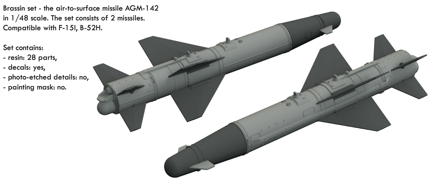 Eduard Brassin 648651 1:48 AGM-142 Popeye 1