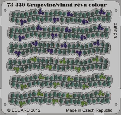 Eduard 73430 1:72 Grapes on the vine in colour!