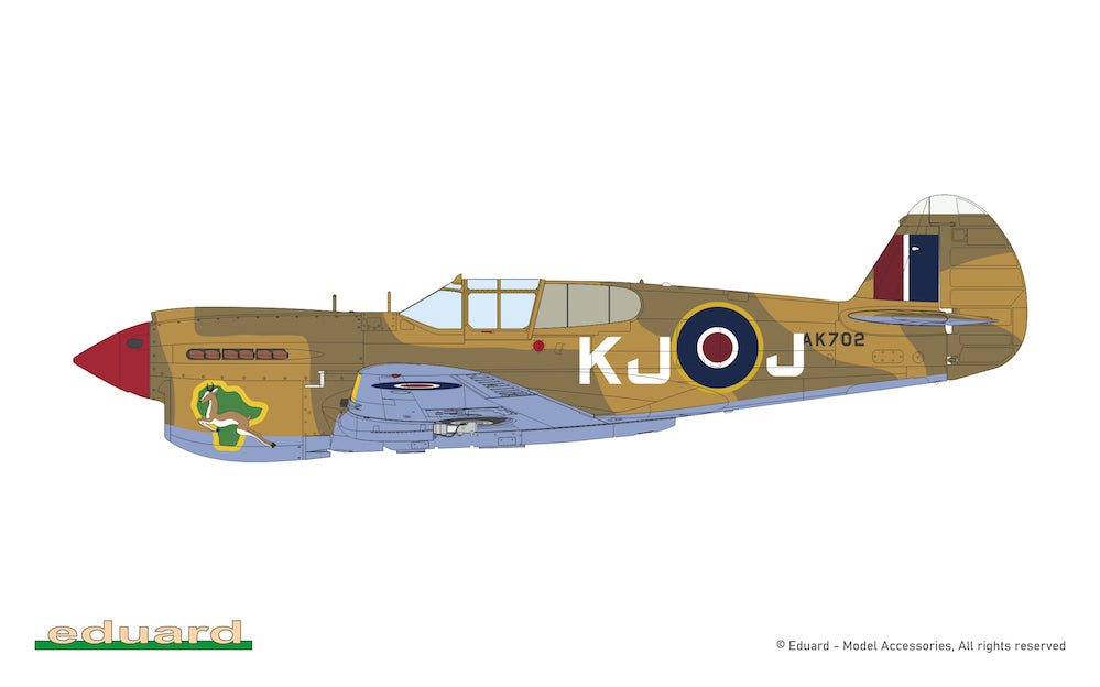Eduard kits 11187 1:48 Curtiss KITTYHAWK DUAL COMBO
