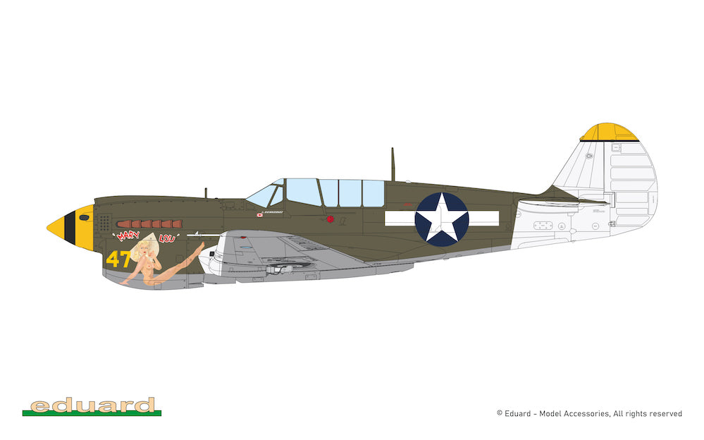 Eduard kits 84210 1:48 Curtiss P-40N Warhawk
