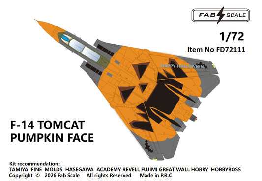 FabScale Studio FD72111 1:72 Grumman F-14D TOMCAT PUMPKIN FACE