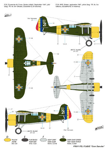 Frrom-Azur FR011 1:72 PZl P.24 Over Danube