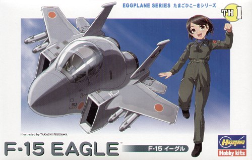 Hasegawa TH1 McDonnell F-15 Eagle 'Egg Plane'