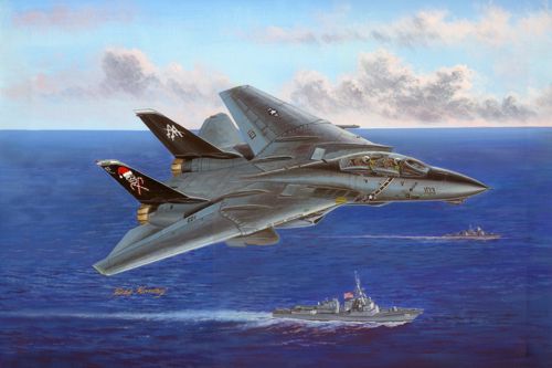 Hobby Boss 80367 1:48 Grumman F-14B Tomcat