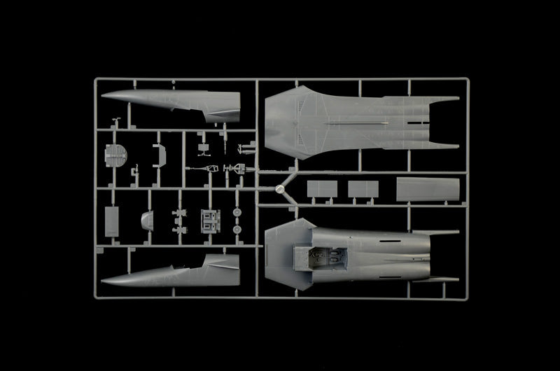 Italeri 1235 1:72 General-Dynamics EF-111A Raven