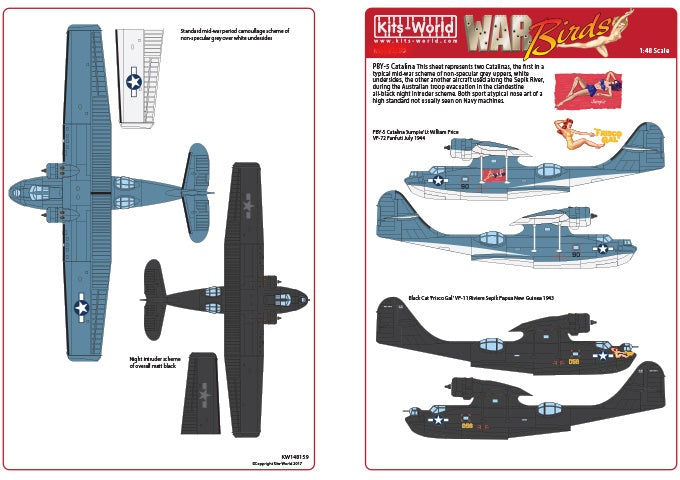 Kits-World KW148158 1:48 Catalina Black Cat