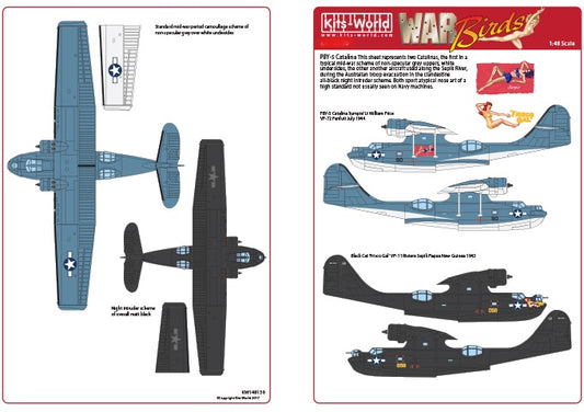 Kits-World KW148158 1:48 Catalina Black Cat