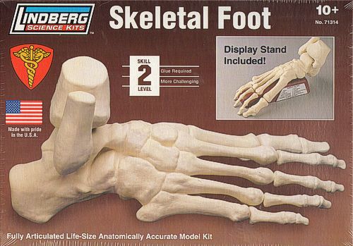 Lindberg 71314 1:1 Skeletal Foot