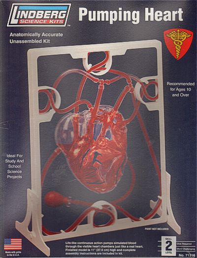Lindberg 71316 1:1 Pumping Heart