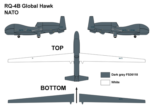 Miniwing-Plastic 311 1:144 Northrop-Grumman RQ-4B GLOBAL HAWK / NATO