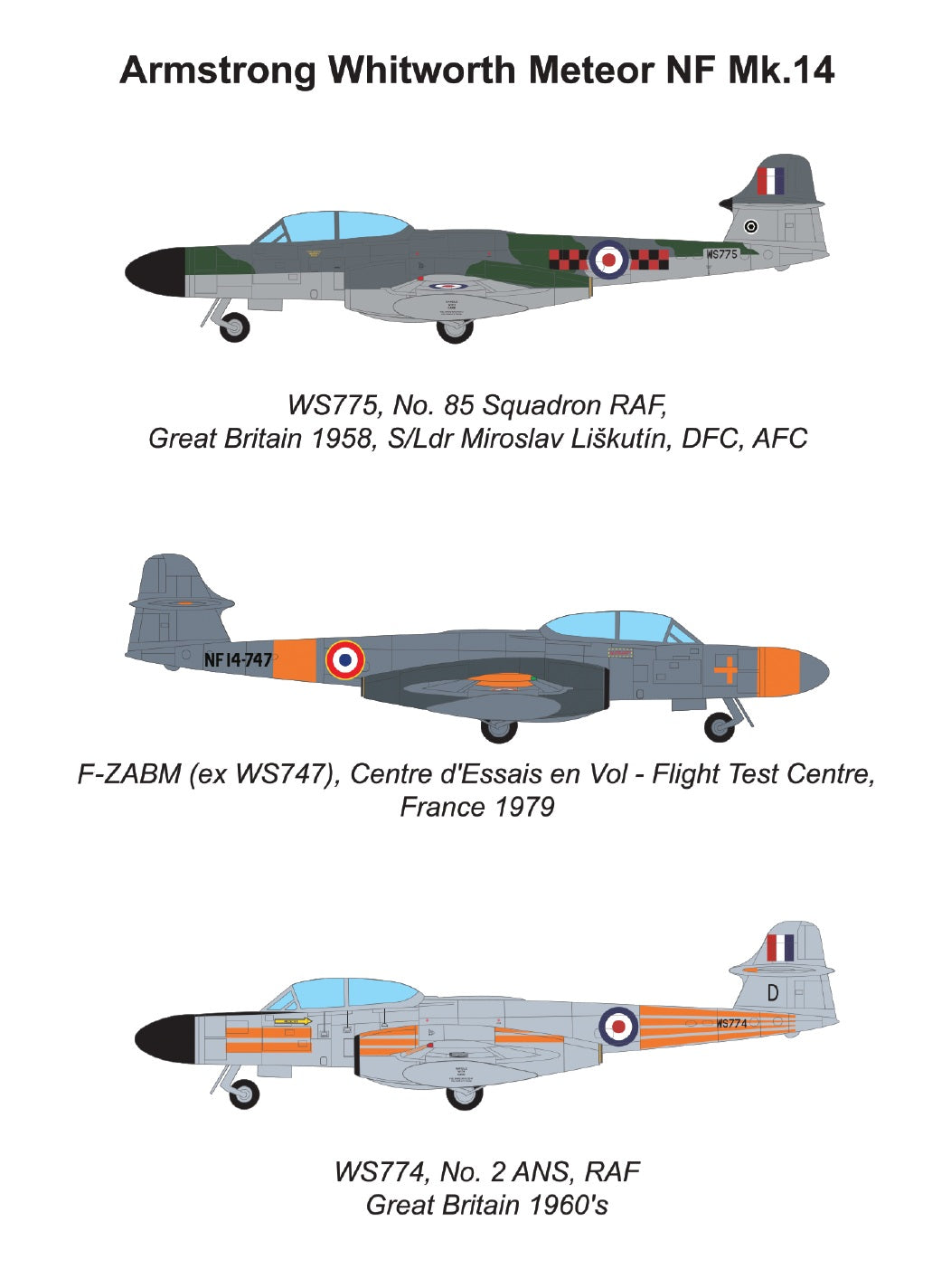 Miniwing-Plastic 384 1:144 Amstrong Whitworth METEOR NF.14 / RAF + ArmÃ©e de lÂ´Air