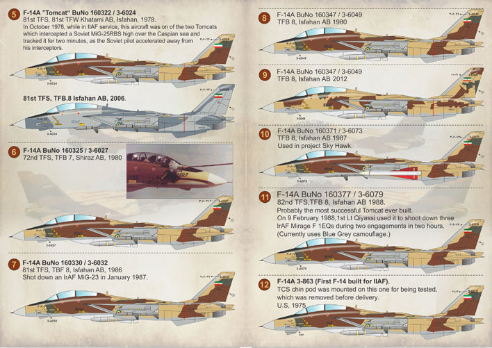 Print Scale 48117 1:48 Iranian Grumman F-14A Tomcats