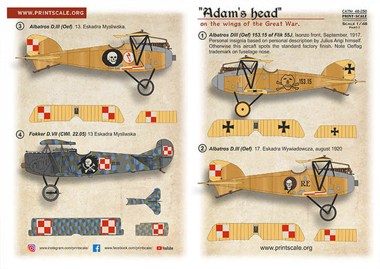 Print Scale 48-250 1:48 "Adam's head" on the wings of the Great War Part 1