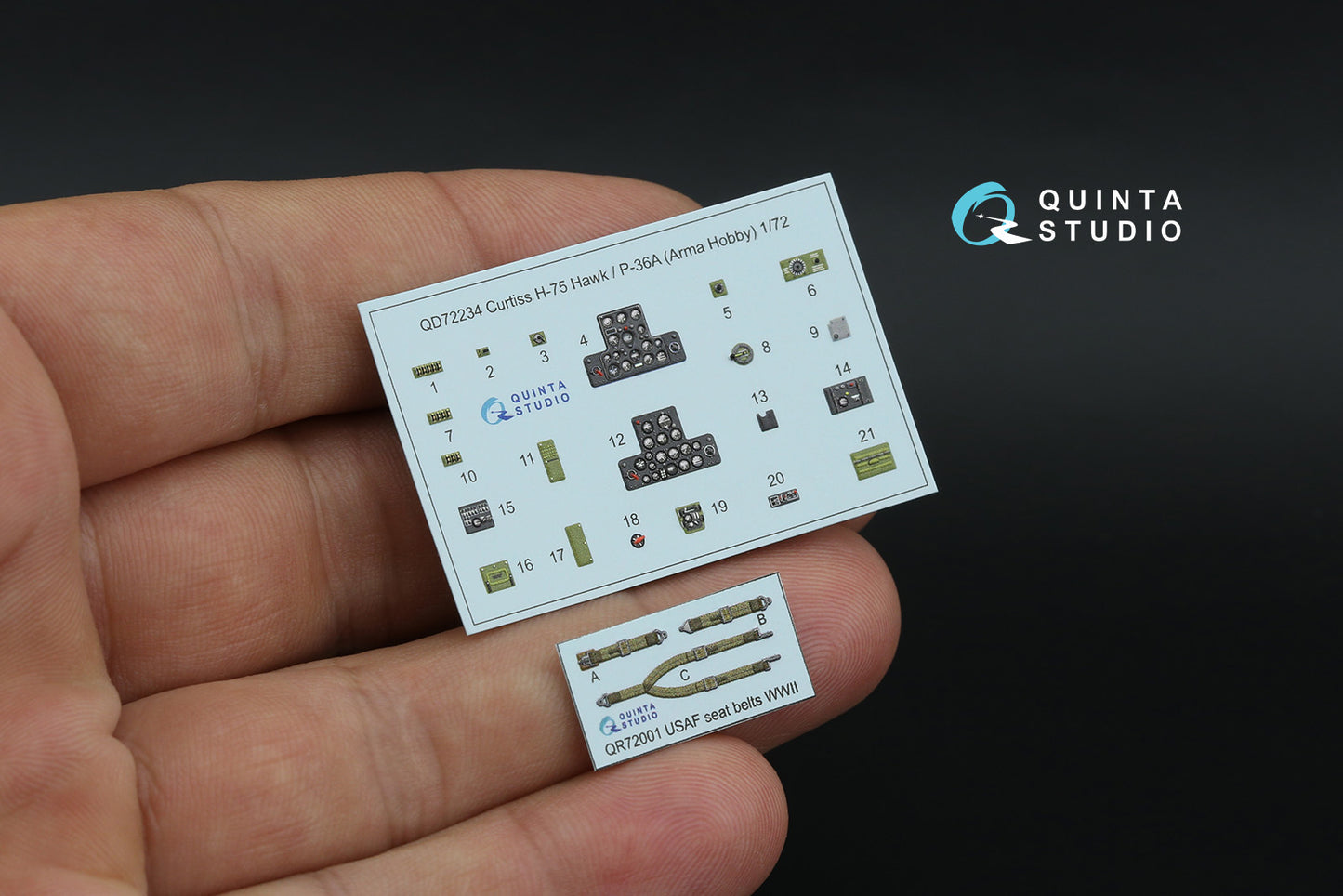 Quinta Studio QD72234 1:72 Curtiss H-75 Hawk/P-36A 3D-Printed & coloured Interior