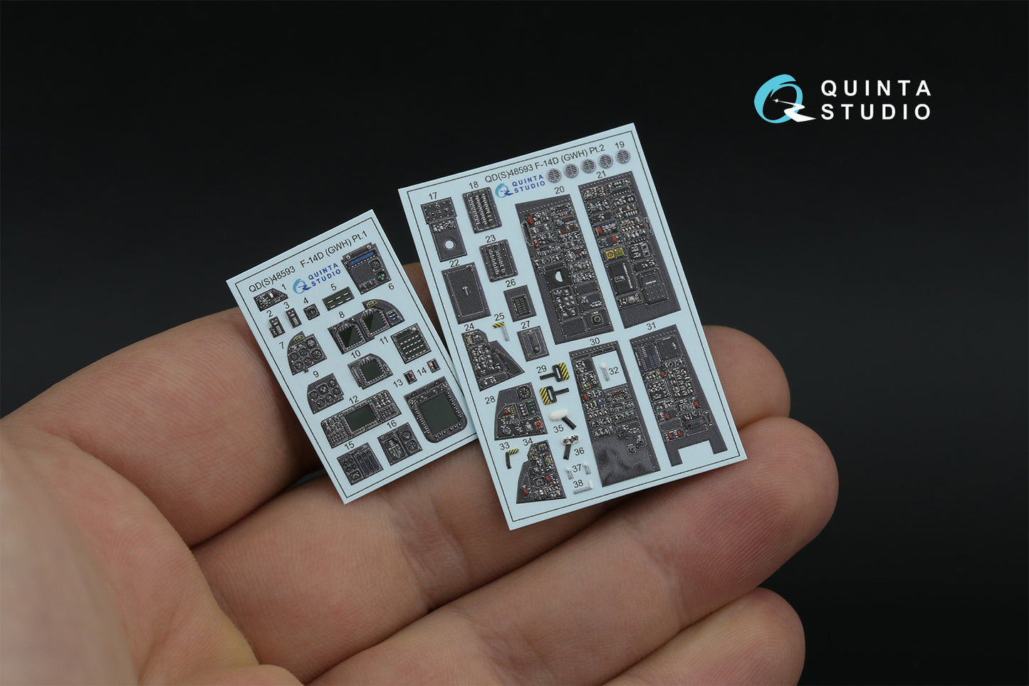 Quinta Studio QDS-48593 1:48 Grumman F-14D Super Tomcat 3D-Printed & coloured Interior