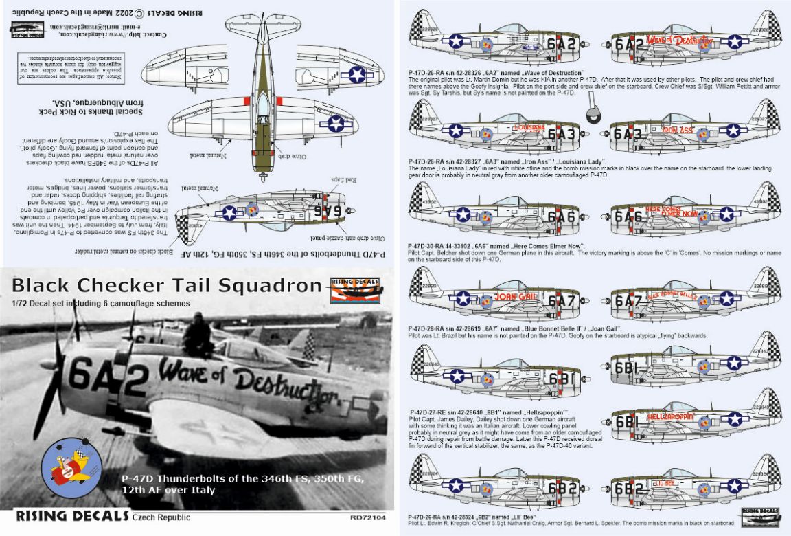 Rising Decals RD72104 1:72 Black Checker Tail Sqdr.
