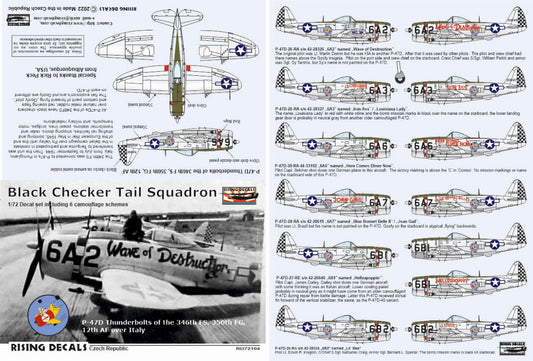 Rising Decals RD72104 1:72 Black Checker Tail Sqdr.
