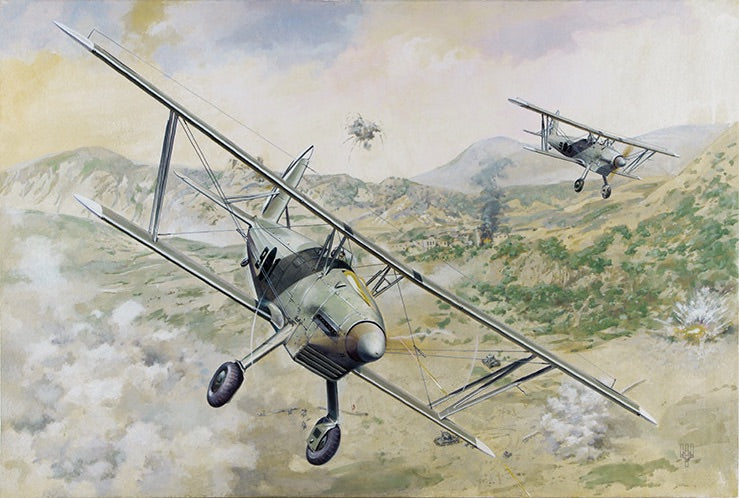 Roden 427 1:48 Arado Ar-68E