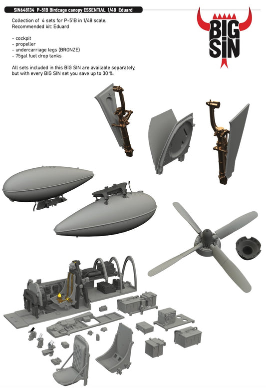 Eduard Brassin SIN648134 1:48 P-51B Mustang Birdcage canopy ESSENTIAL