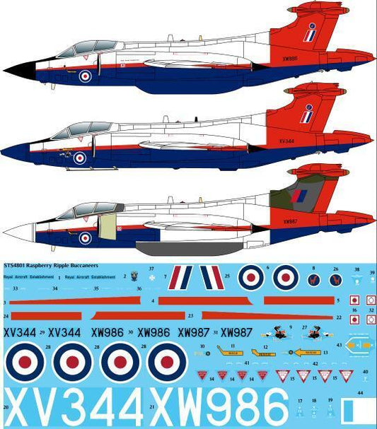 Twosix Silk STS4801 1:48 Raspberry Ripple Blackburn Buccaneers - Screen printed decals