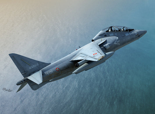 Sword 72100 1:72 McDonnell-Douglas TAV-8B Harrier II