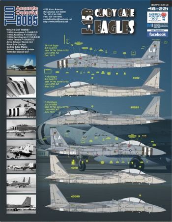Two Bobs 48221 1:48 McDonnell F-15B Candy Cane Eagles Part 2