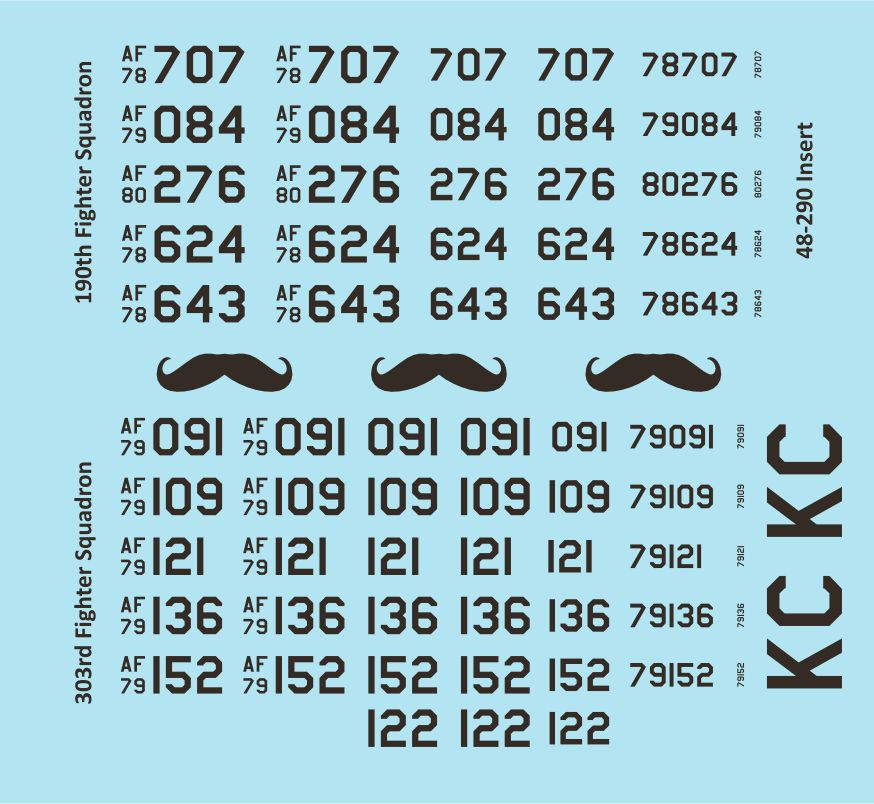 Two Bobs 48-290 1:48 Republic A-10C Inherent Resolve Hawgs.