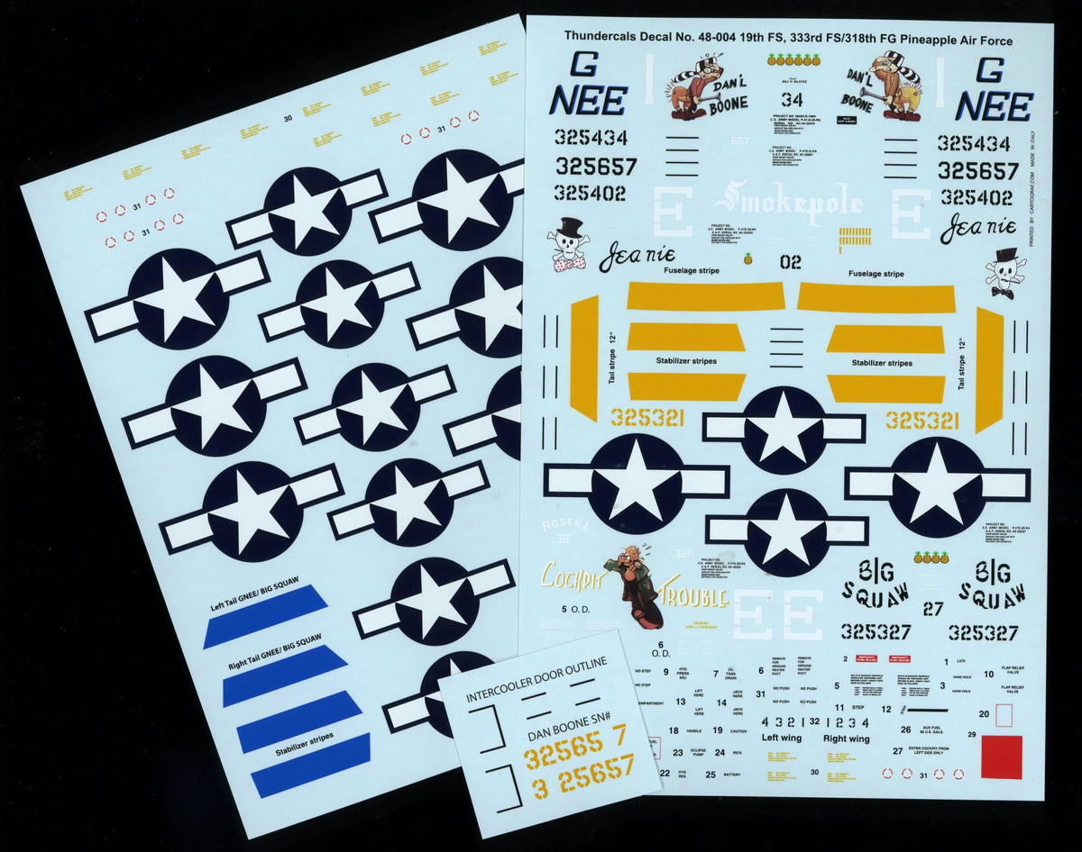 Thundercals 48004 1:48 Republic P-47D Thunderbolt 'Razorback' PTO Part 4