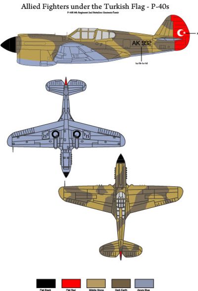 Tigerhead Models D48001 1:48 Allied Fighters under the Turkish Flag - Curtiss P-40.